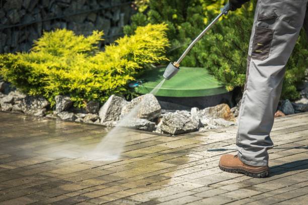 Animal Enclosure Cleaning in Covington, GA